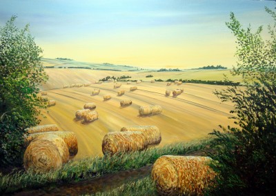 Wolds sun on Hay Bales