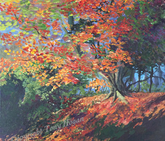 Autumn magic