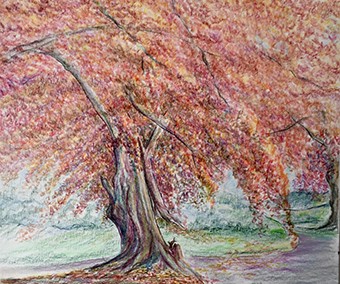 Coming of Autumn